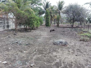 Vendo Terreno en Lagunas de Torre Molinos Q52,000 km 89 Carretera al Puerto Quet - 4
