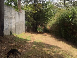 Terreno en venta San Juan Sacatepequez  - 4
