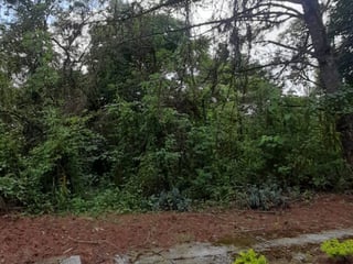 Terreno en Venta en Alta Vista Country Club - 2