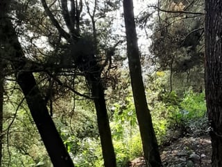 Terreno en Venta en Granja Buenos Aires - 5