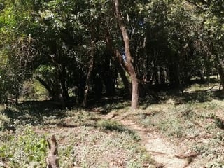 Terreno en venta dentro Residencial Premier Campestre. - 2