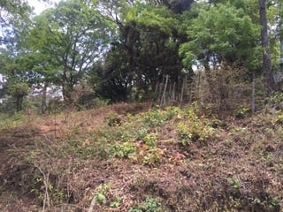 Terreno en venta San Juan Sacatepequez  - 5