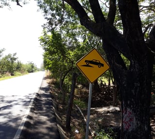Terreno Sobre Carretera Taxisco hacia Ferry Santa Rosa