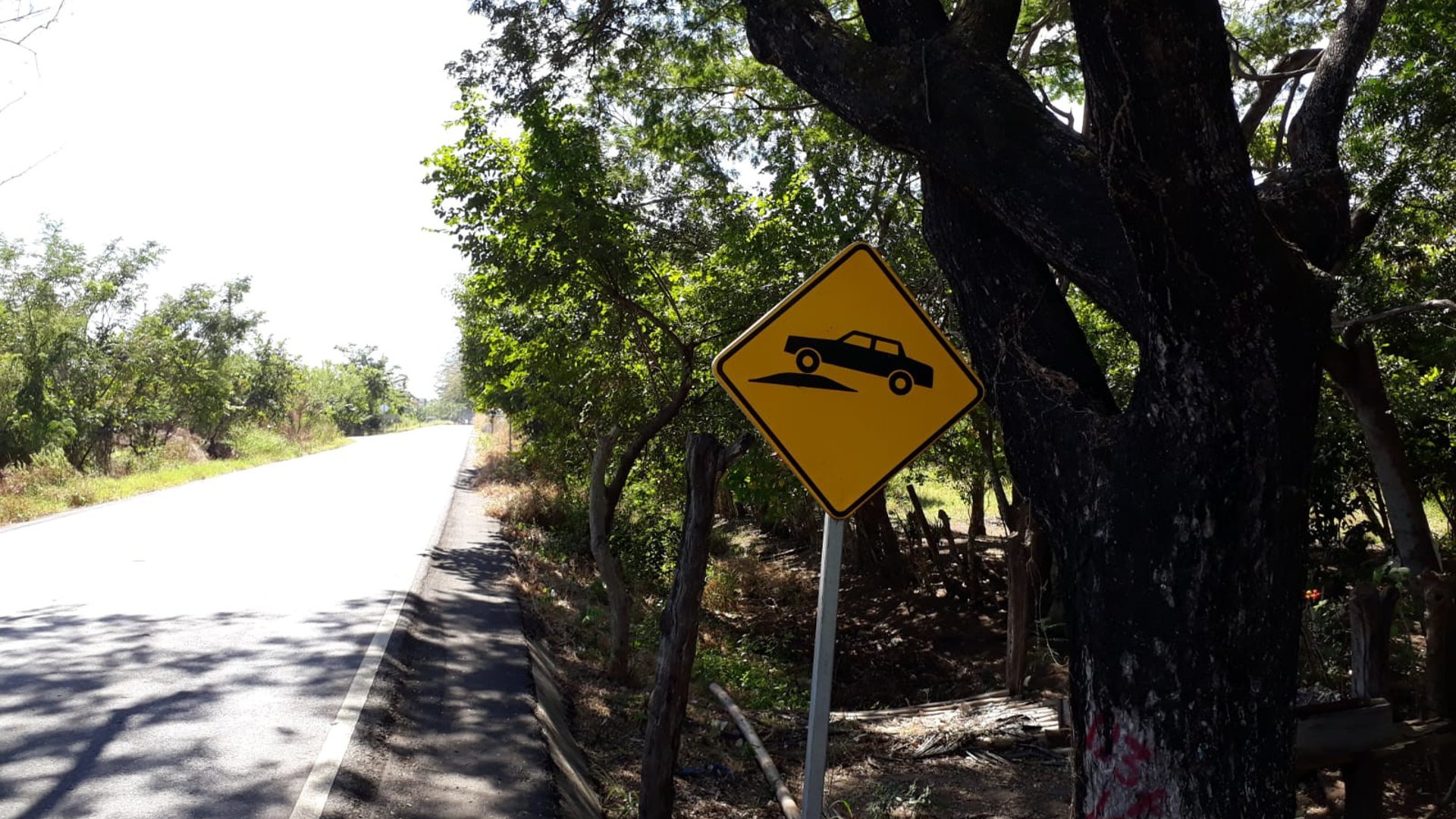 Terreno Sobre Carretera Taxisco hacia Ferry Santa Rosa