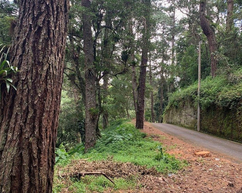 Terreno en Venta Km. 14.5 Carretera a El Salvador San Jorge Muxbal