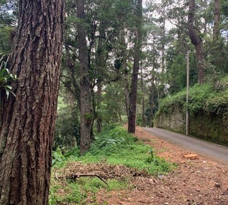 Terreno en Venta Km. 14.5 Carretera a El Salvador San Jorge Muxbal
