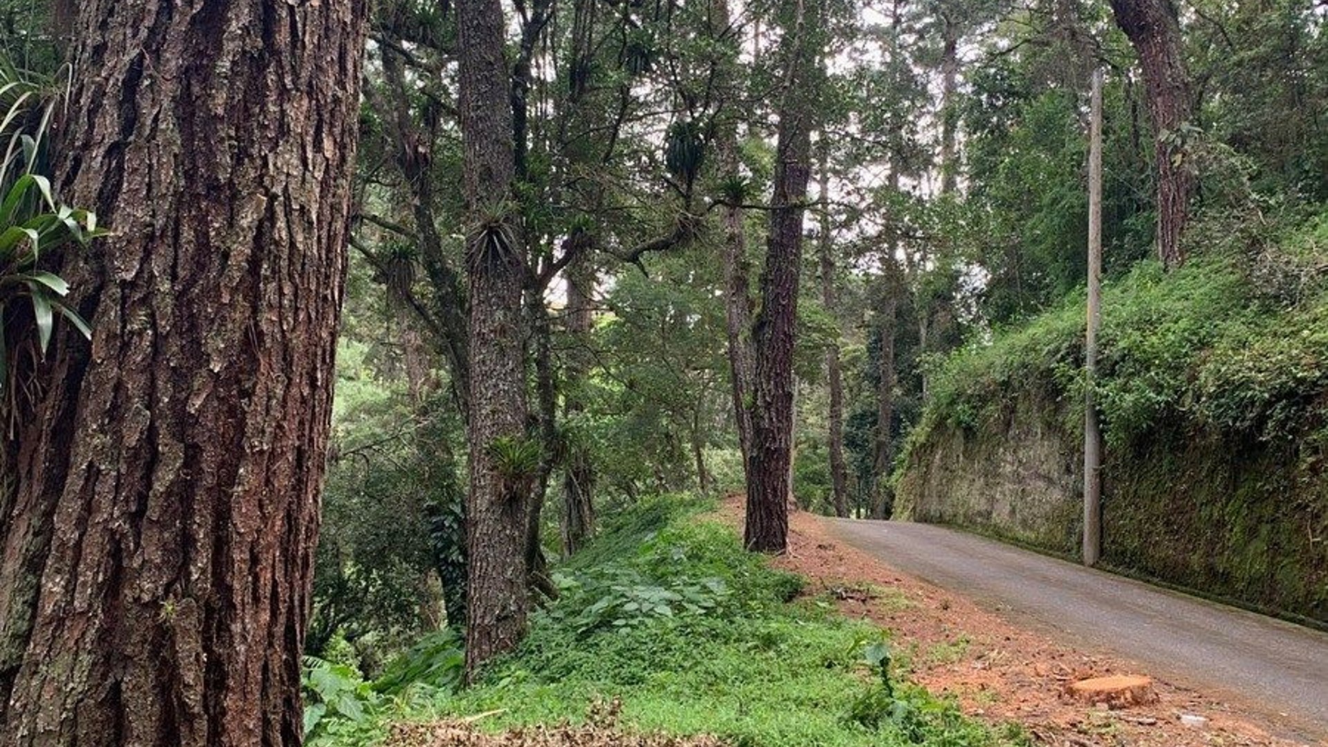 Terreno en Venta Km. 14.5 Carretera a El Salvador San Jorge Muxbal