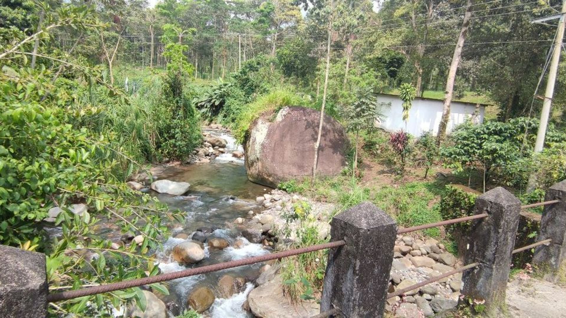 Finca en VENTA de 2 caballerías en Chicacao, Suchitepéquez - Miniatura 18