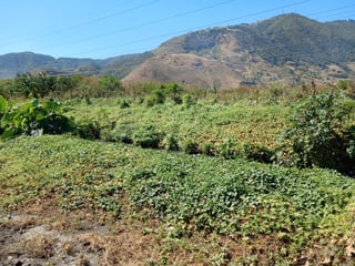Terreno en Venta en Amatitlán - 3