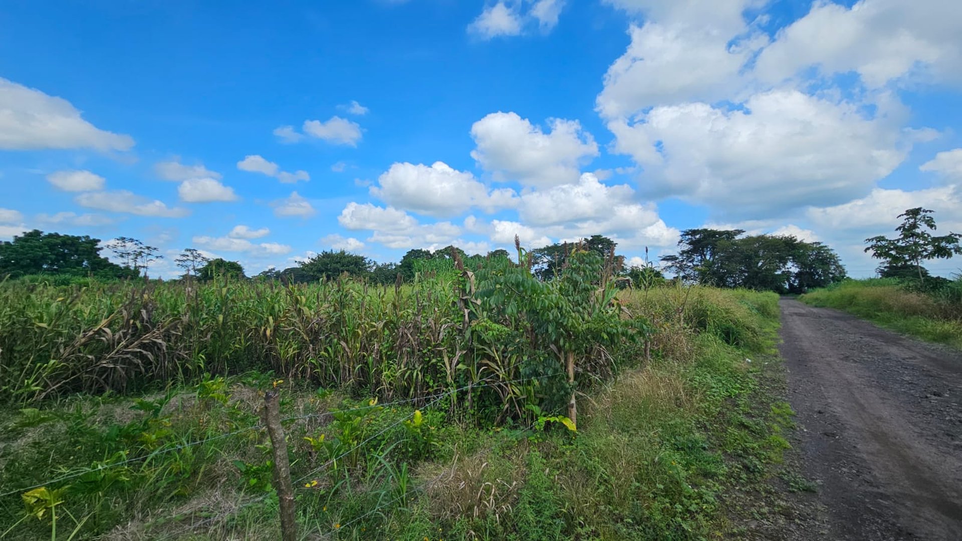 Terreno comercial en venta zona 15 de 19,900 varas² - Miniatura 3