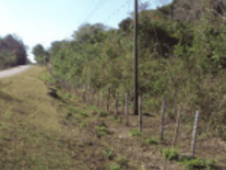 TERRENO EN CAOBA PETEN - Image 2