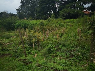 Terreno en Venta en Muxbal - Image 5