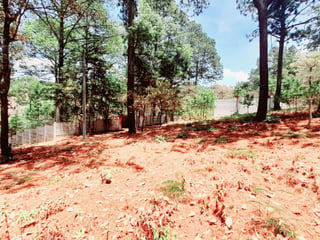 Terreno en Venta en Santo Domingo Xenacoj Sacatepequez - 2