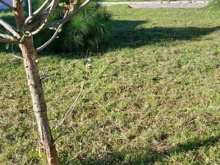 Terreno de Venta en Paseo San Lucas Sacatepéquez. - Image 2