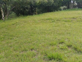 Terreno en venta Bosques de Vilaverde km 26.5 CES - 4