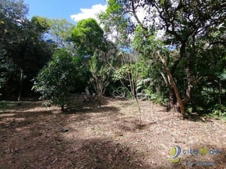 Terreno en Venta Zona 15 Guatemala, uso residencial - 5