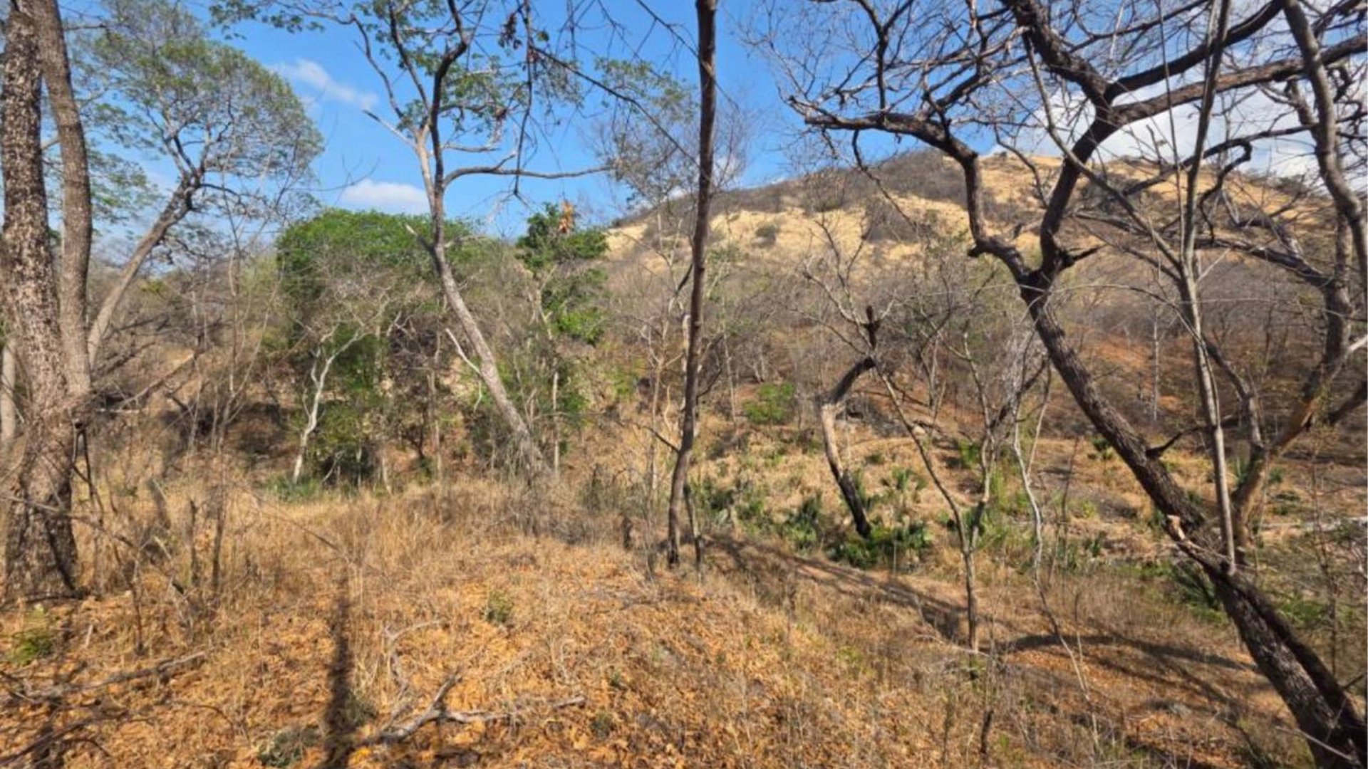 19 Manzanas en venta en El Progreso, Guastatoya  - Miniatura 4