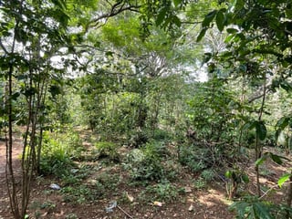 Terreno en venta Villa Canales Jocotillo - 4