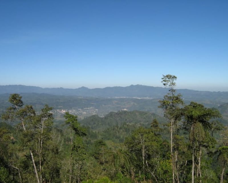 En Venta Finca San Juan Chamelco, Coban