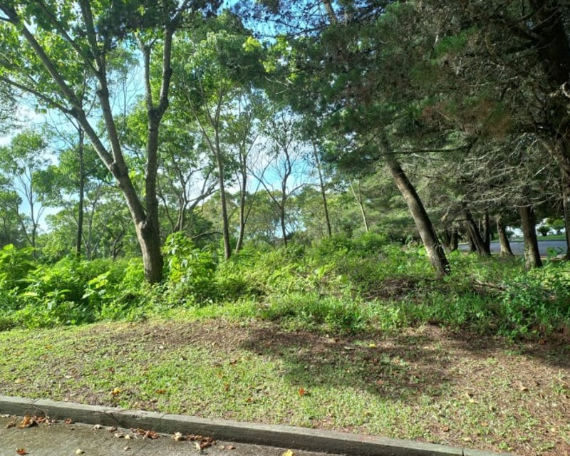 Terreno Residencial en Venta en Km 23.5 CES