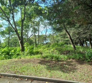 Terreno Residencial en Venta en Km 23.5 CES