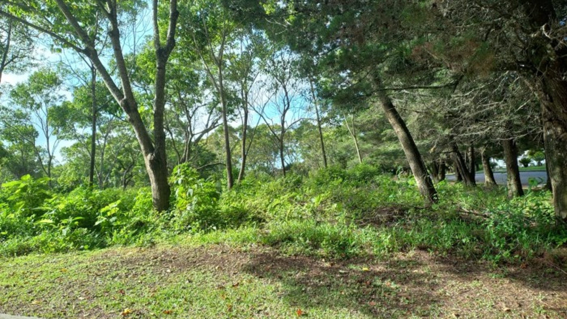 Terreno Residencial en Venta en Km 23.5 CES