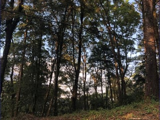 Land for Sale in Condominio Bosque Vivo, San Lucas Sacatepéquez - 1320 m² - USD 80,000 - Image 3