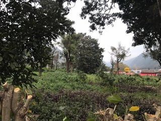 TERRENO A LA VENTA EN CASCO DE  ANTIGUA GUATEMALA. - 4