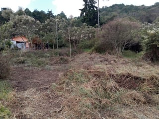 Terreno en Venta Granjas Praderas del Bambú - 3