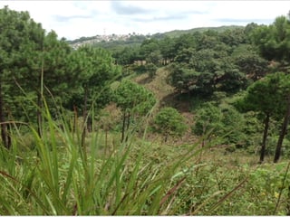 PROPIEDAD  GRANDE EN ZONA 18 EN VENTA - 4
