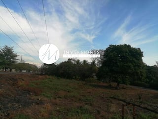 Terreno en Renta Carretera a Puerto Quetzal - 3