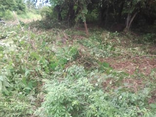 Terreno Grande en Venta Cataratas de Uxmel, Masagua - 4