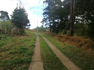 TERRENO RESIDENCIAL EN VENTA EN VILLA CANALES - 4