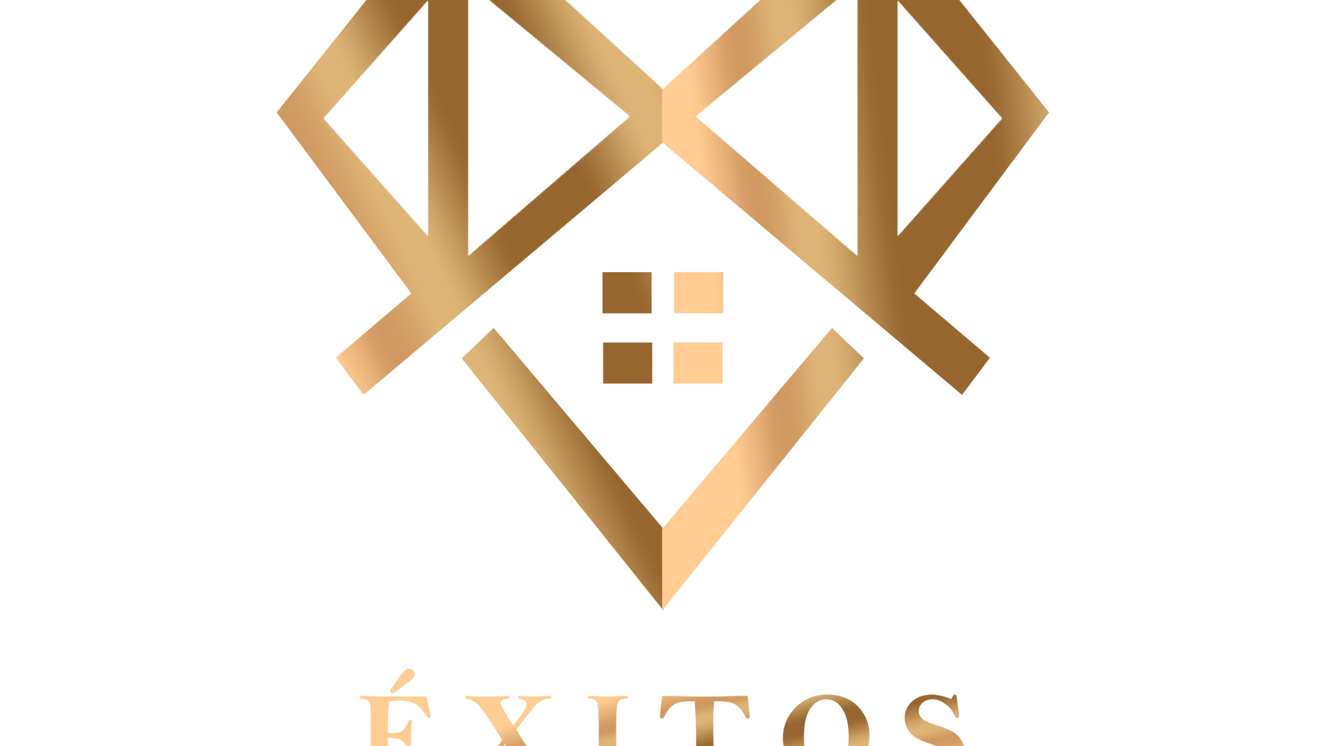 Exitosa Desarrolladora