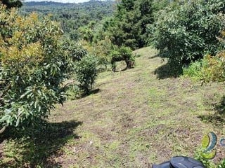 Terreno en Venta de 2.6 manzanas en San Vicente Pacaya - 2