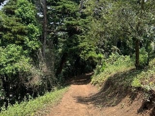 SANTA ELENA BARILLAS / Terreno en Venta - 3