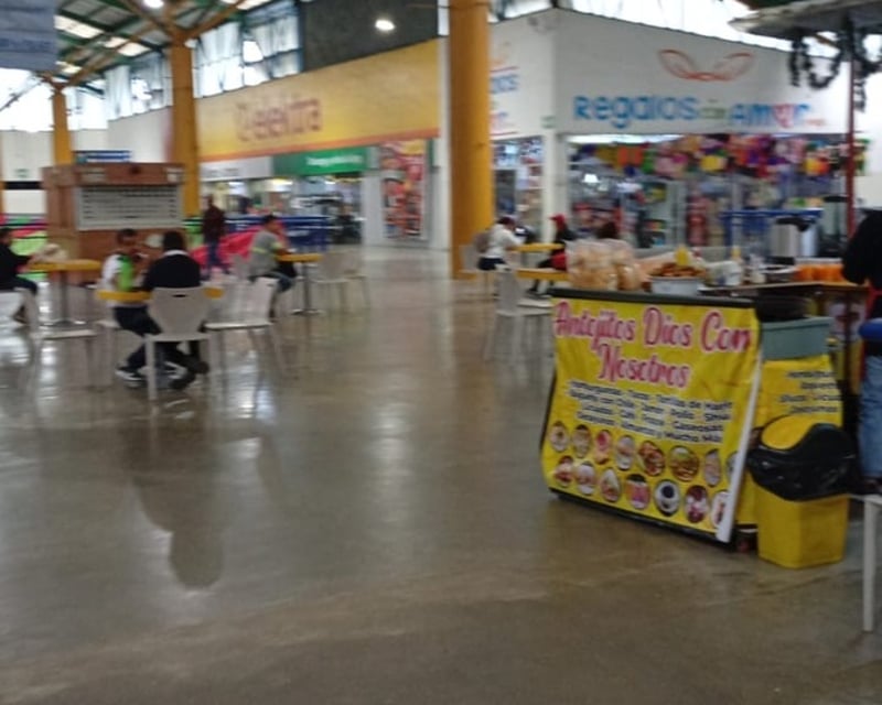 Locales comerciales en renta – Centrasur / CENMA, zona 12