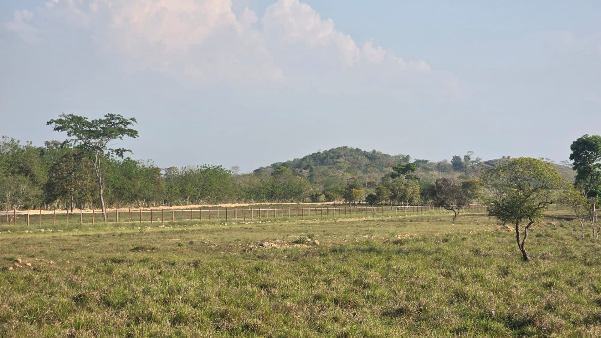 200 manzanas en venta en  Santa Ana, Peten  - Image 1