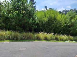 Terreno en VENTA en Acacias de Cayalá - 5