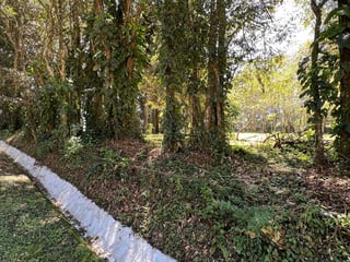 *Vendo amplio terreno en Km 17.5 Carr. El Salvador, Arrazola III* (C) - 4