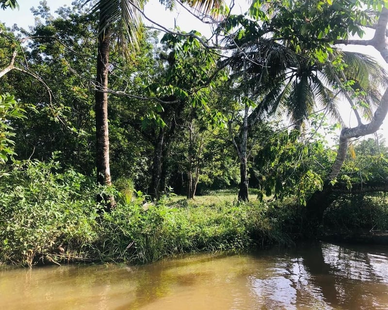 RIO DULCE / Preciosos  Terrenos en Venta