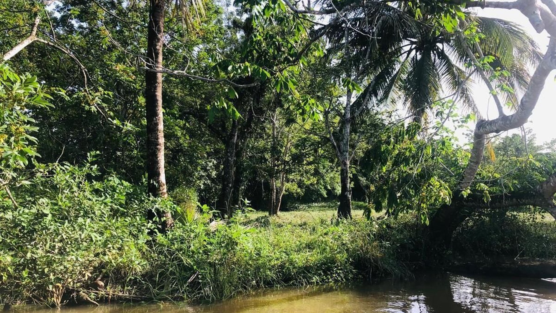 RIO DULCE / Preciosos  Terrenos en Venta