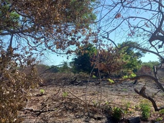 Terreno en Venta Camino a Monterrico  Taxisco, Santa Rosa - 5