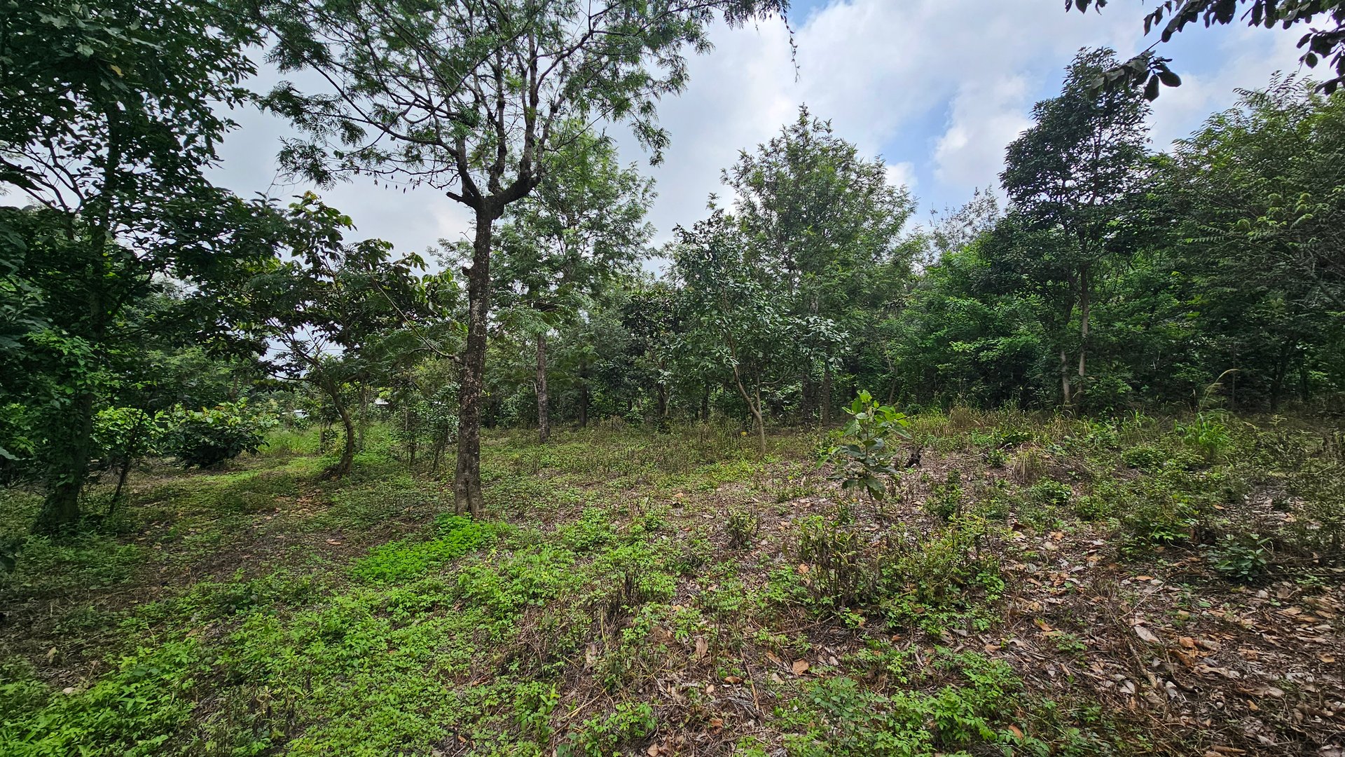Terreno de 1 Manzana en Alotenango Cercanía Estratégica a la RN14 - Miniatura 6