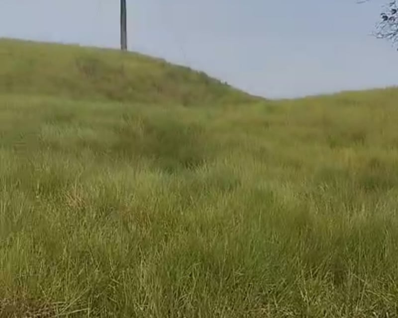 Finca en Puerto Barrios Izabal