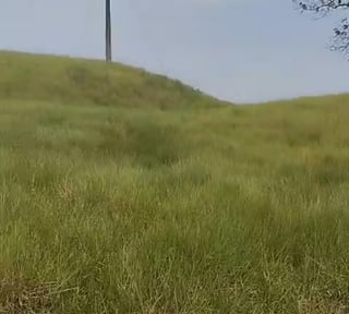Finca en Puerto Barrios Izabal