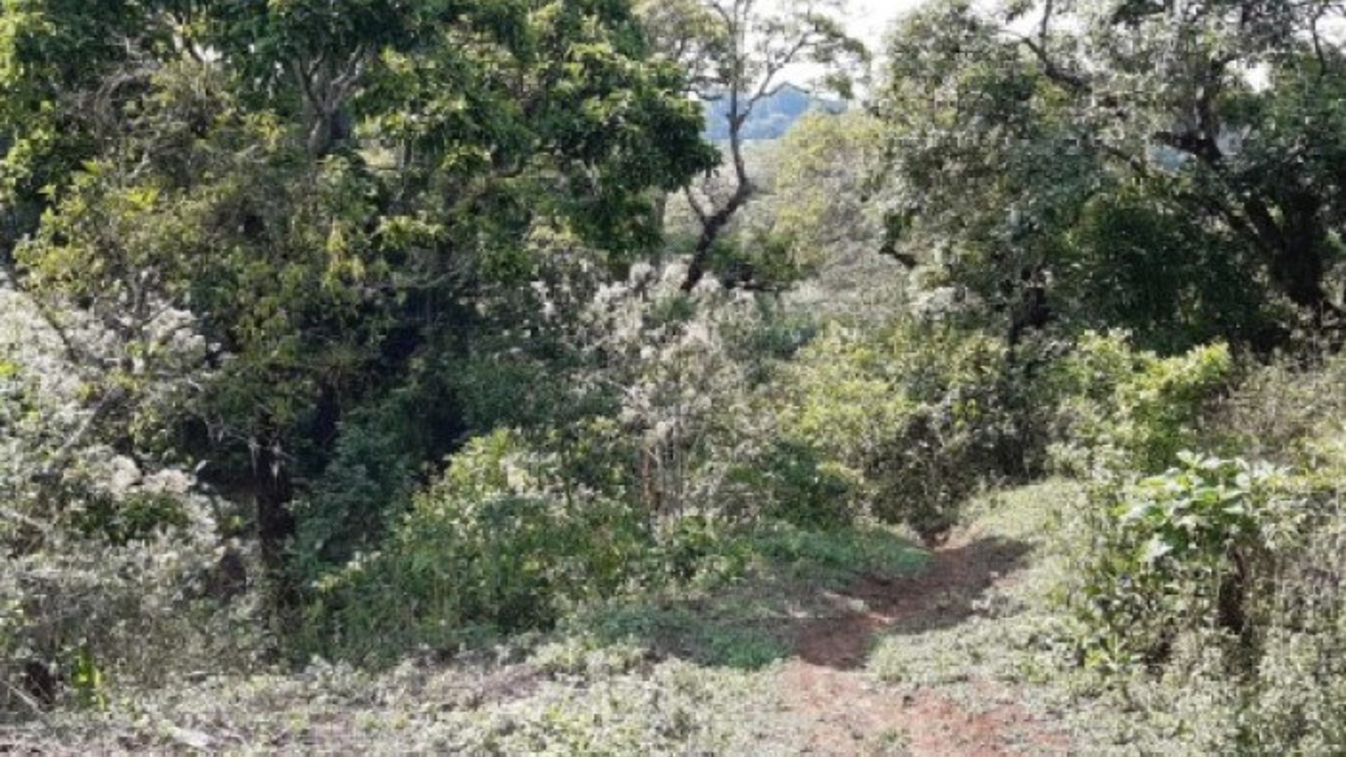 Finca en Venta en Fraijanes Guatemala - Miniatura 5