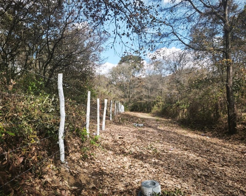 Terreno en venta, El Encinal 