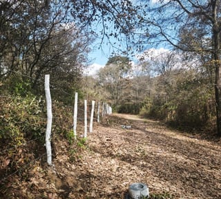 Terreno en venta, El Encinal 