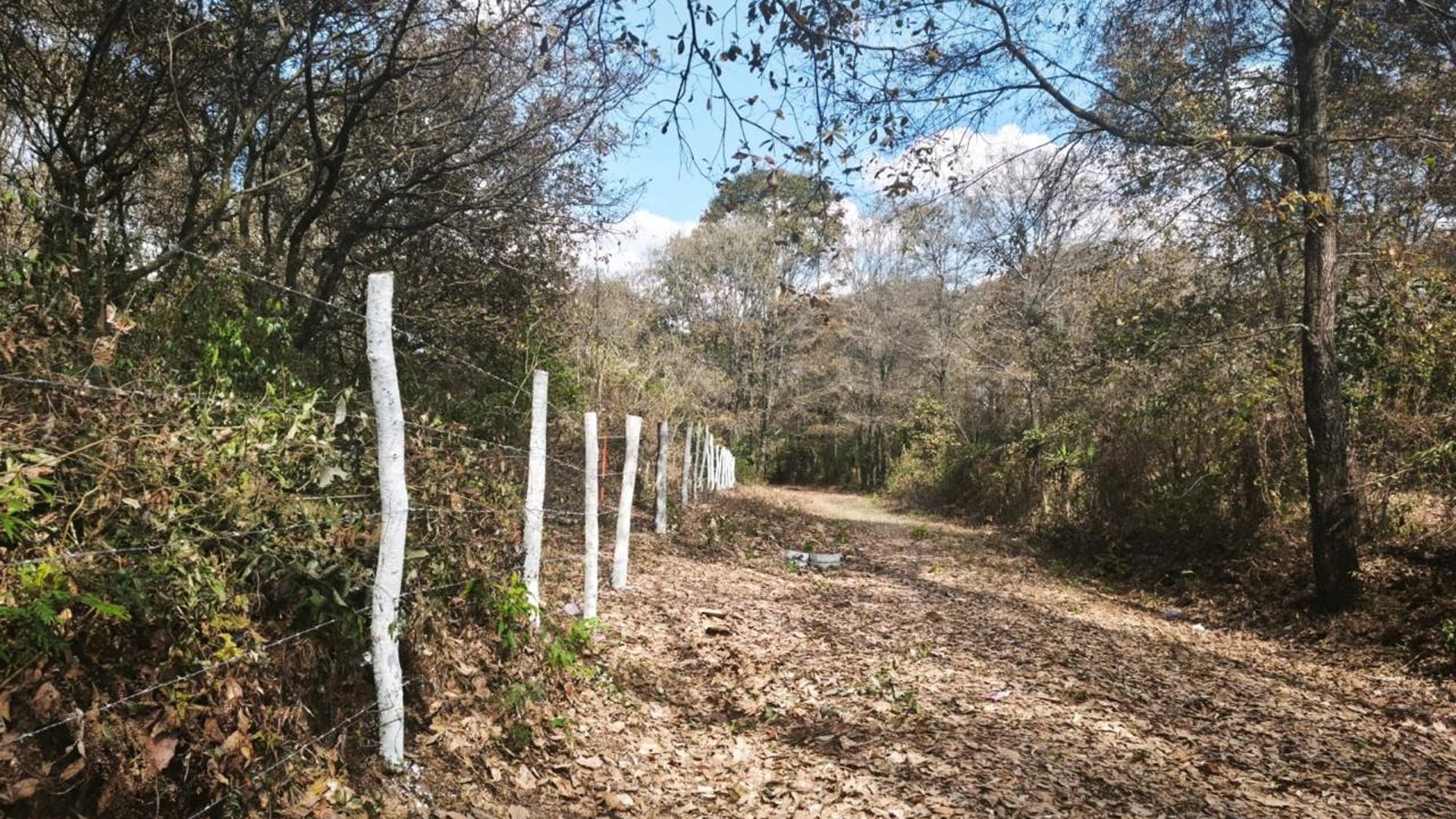 Terreno en venta, El Encinal 